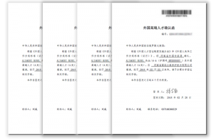 高遠公司4名外聘專家獲河南省簽發(fā)首批《外國高端人才確認函》